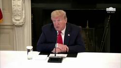 Trump Seeks Quick FDA Approvals of Covid-19 Treatments News Clip