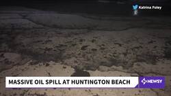 Crews Race To Limit Damage From Major California Oil Spill News Clip
