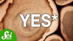 Can You Melt Wood? Instructional Video