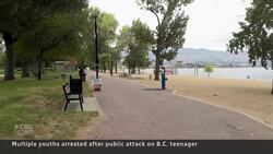 3 youths arrested in swarming attack on 13-year-old Kelowna girl Instructional Video