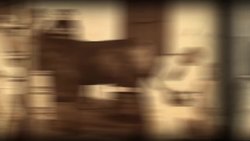 The Atlantic Slave Trade Crash Course World History Instructional Video