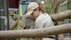 Weighing Koala Joeys at the San Diego Zoo Is as Cute as You'd Expect Instructional Video