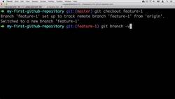 Complete Git Guide: Understand and Master Git and GitHub - Checking Out a Remote Branch Instructional Video
