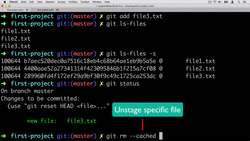 Complete Git Guide: Understand and Master Git and GitHub - Unstage File using git rm Instructional Video