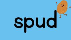 Blends and Digraphs Word Chains and Ladders Instructional Video