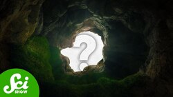 The Oldest Living Thing was Trapped for 2 Billion Years Instructional Video