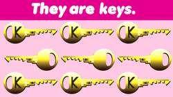 What Are They? Instructional Video