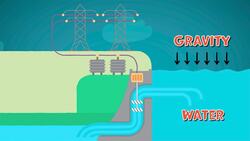 I WONDER - How Do Hydroelectric Dams Protect The Fish? Instructional Video