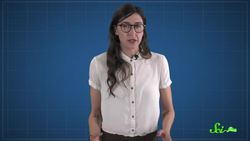 Lime Disease How a Fruity Drink Can Give You a Rash Instructional Video