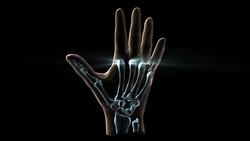 I WONDER - What Are The Different Types Of Joints? Instructional Video