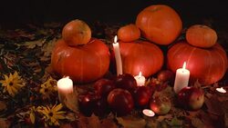 Harvest small and large pumpkins,red apples, yellow flowers Stock Footage
