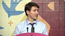 John McCallum advocated for release of Huawei exec, along with detained Canadians News Clip