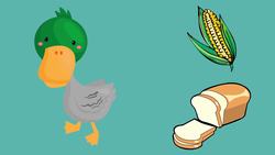 What do Farm Animals Eat? Instructional Video