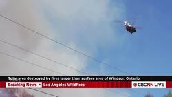 Total area destroyed by L.A. fires larger than surface of Windsor, Ontario News Clip