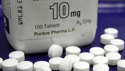 Purdue settlement in US not end of legal battle Instructional Video