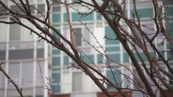 A high school gardening club plans seeds of community News Clip