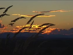 Summer: Video Assessment Instructional Video