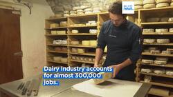 France's passion for cheese hasn't changed - but their eating habits have News Clip