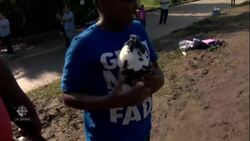 Texas pets in peril after heavy flooding caused by Harvey News Clip