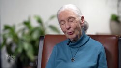 Jane Goodall explains why it’s not too late to save the planet News Clip