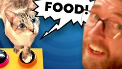 I teach my cats how to talk Instructional Video