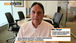 Insurers Are Ready for Risk, Goldman's Mike Siegel Says News Clip