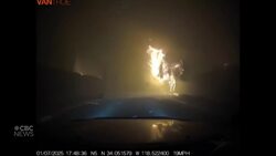 #TheMoment a man drove into the L.A. fires to save a woman and her dogs News Clip