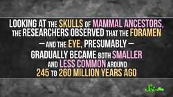 Abilities Evolution Took From Us Instructional Video