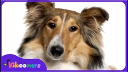 BINGO | Bingo Dog Song | Nursery Rhymes Songs | Kids Songs | The Kiboomers Instructional Video