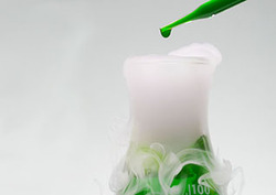 Reactant Instructional Video