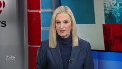 Using drones to monitor health of North Atlantic right whales News Clip