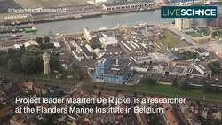 A Leaking German Shipwreck From 1942 Instructional Video