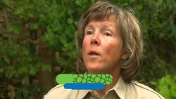 The Next Phase of Life For This Little Panda Is So Important! Instructional Video