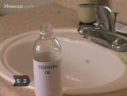 How to Kill Bugs without Poison Instructional Video