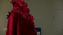 Dramatic theatre outerwear of centuries past showcased News Clip