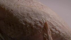 Sequence showing close-ups of a whole raw chicken, UK. Stock Footage