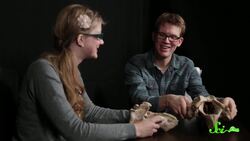 Emily and Hank Meet a Blue-Tongued Skink: SciShow Talk Show Episode 5 Instructional Video