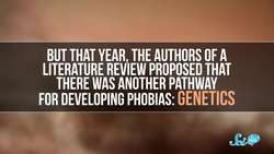 You Can Inherit Fear? Instructional Video