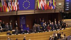 Pro-remain MEPs break into song after Withdrawal Agreement vote News Clip