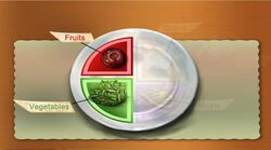 Portion and Serving Size Instructional Video