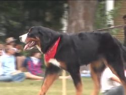 Introduction to Matter and Mass Instructional Video