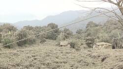 Volcanic ash makes roads hazardous in Philippines News Clip