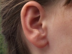 Explorando el sonido: detectando sonidos Instructional Video