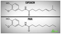 The Science of Tear Gas Instructional Video