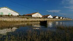 Ares, Gironde, Nouvelle Aquitaine, France Stock Footage