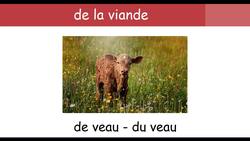 French food vocabulary - French vocabulary 13 Instructional Video