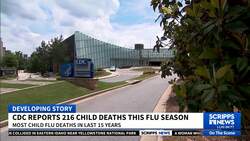Flu deaths among US children reach 15-year high, CDC reports News Clip