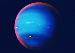 Neptune Instructional Video