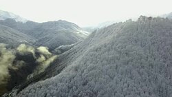 aerial view of the mountain forest and snowy trees Stock Footage