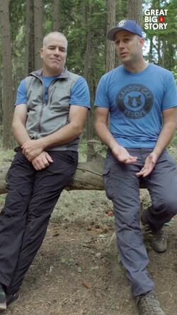 Heroes among us, the tree-top cat rescuers Instructional Video